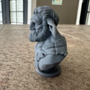 fir bolg bust 50mm, unprimed