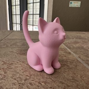 cat ring holder