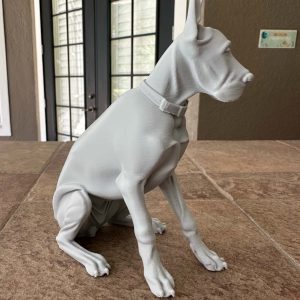 print your pet